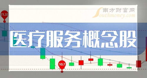 2024年第二季度醫(yī)療服務(wù)與票務(wù)代理服務(wù)概念股凈利率十強榜單出爐